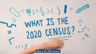 What is the US Census