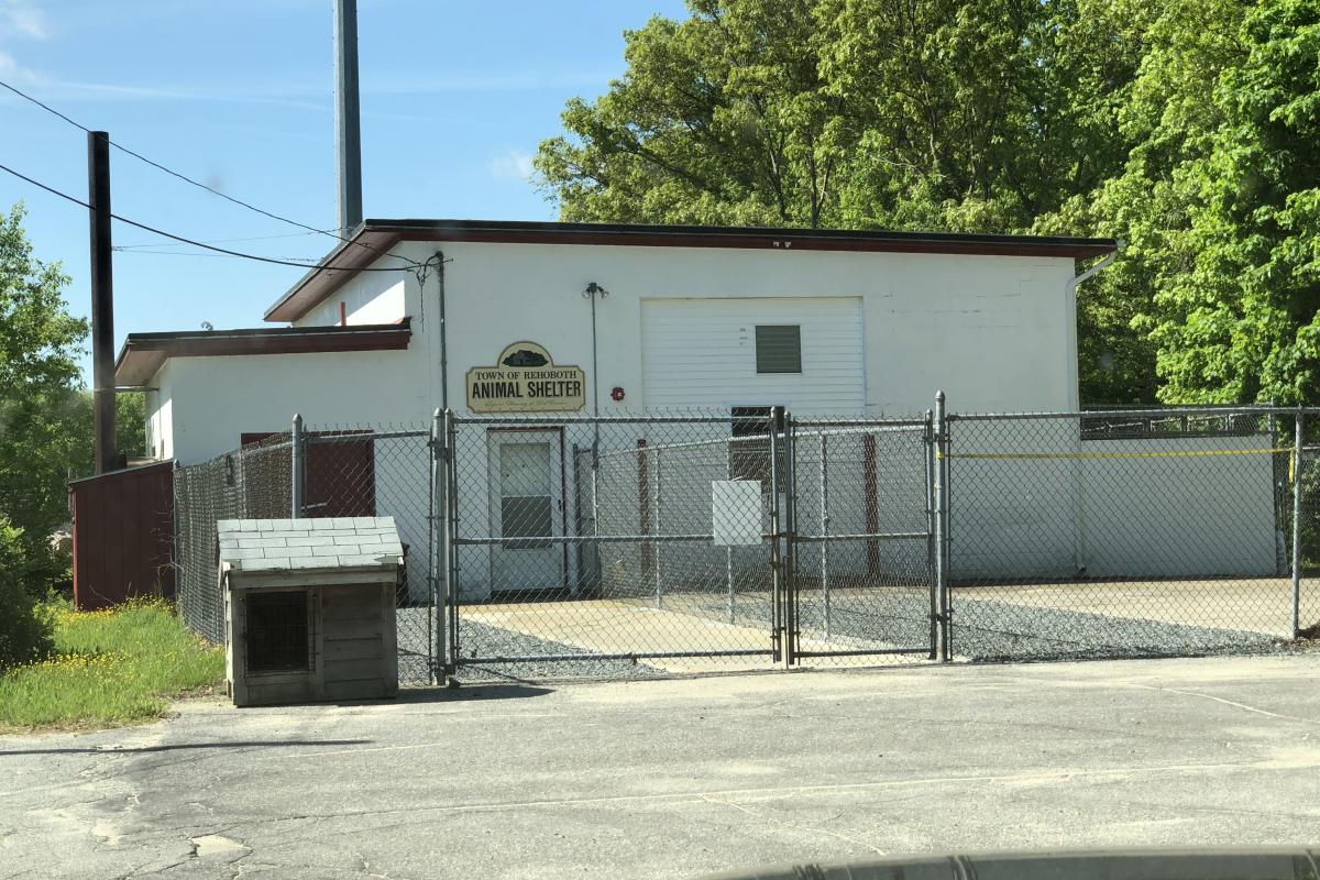 Animal shelter exterior