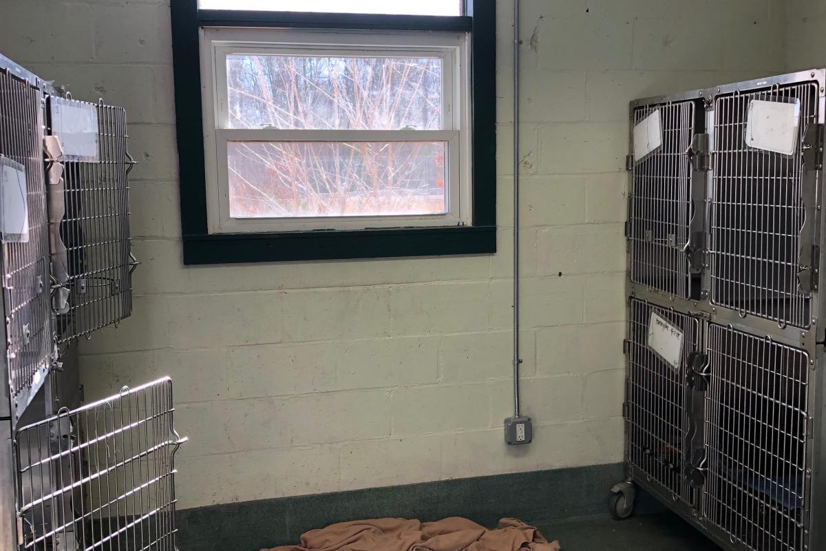 Too small cat room