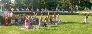 Yoga - Rosa