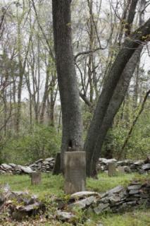 Cemetery 10