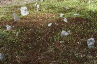 Cemetery 12