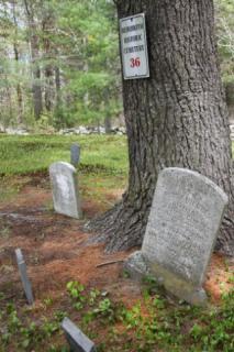 Cemetery 13