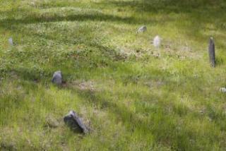 Cemetery 22