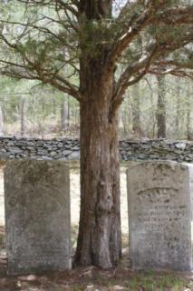 Cemetery 31