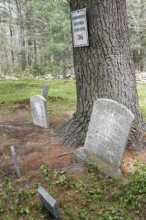 Cemetery 34