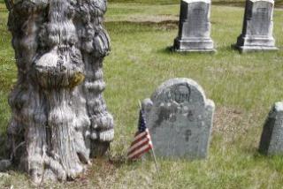Cemetery 58