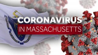 Coronavirus in MA