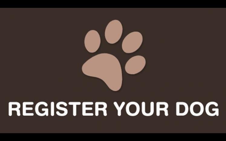 Register Your Dog