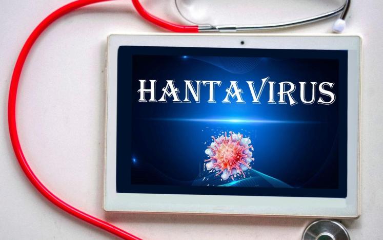 Hantavirus Information