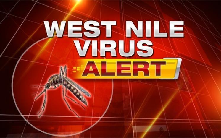 West Nile virus Alert